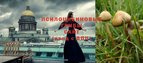 дживик Куйбышев