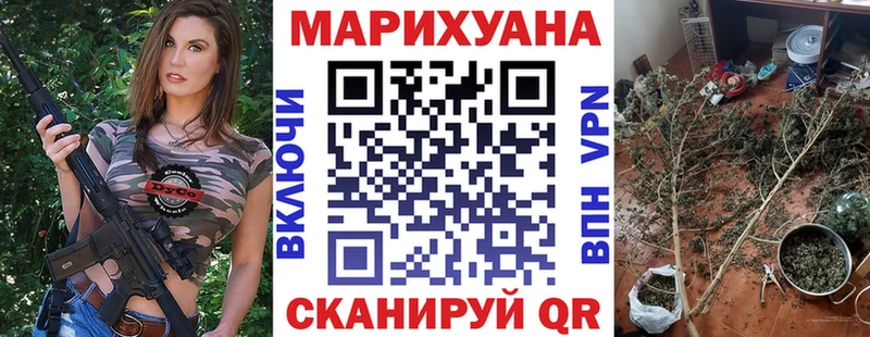 Каннабис сатива  Александровское 